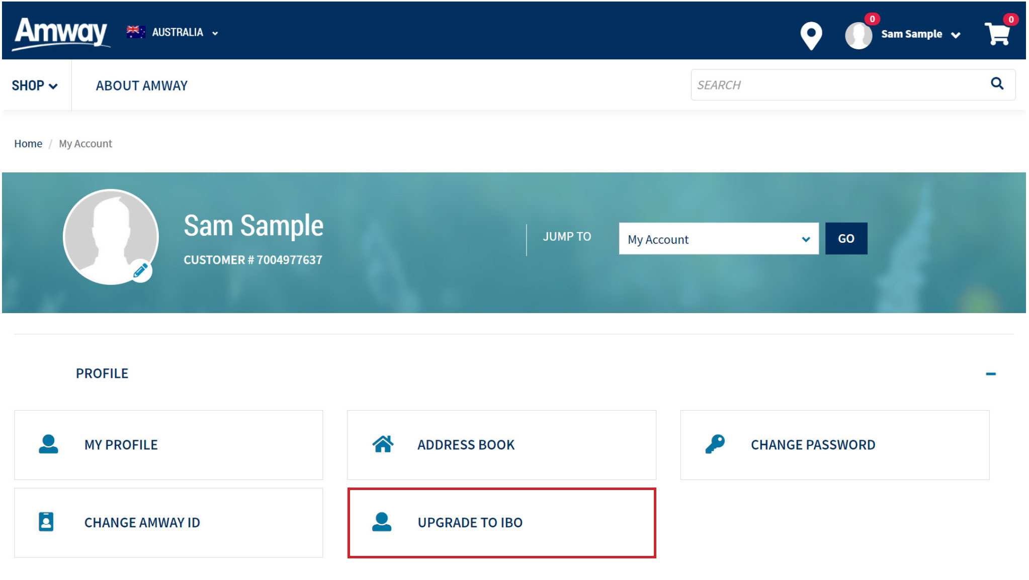 Amway-CustomerIBO-Step02.jpg
